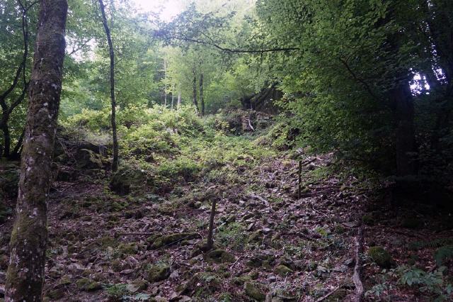 Halde im Bereich des Herrenwaldgangs