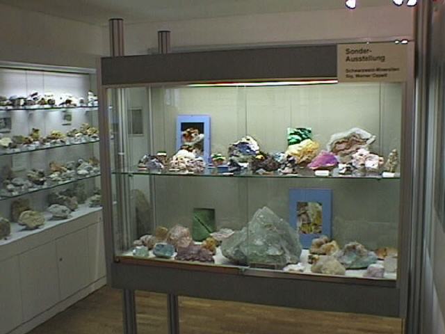 Vitrine für Sonderausstellungen